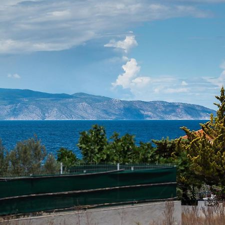 Anzuelo Apartments Megalochori  Dış mekan fotoğraf